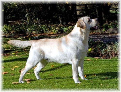 Carpenny Micah at Suttonpark 